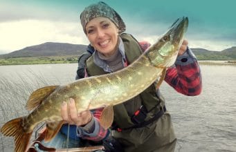 nice pike