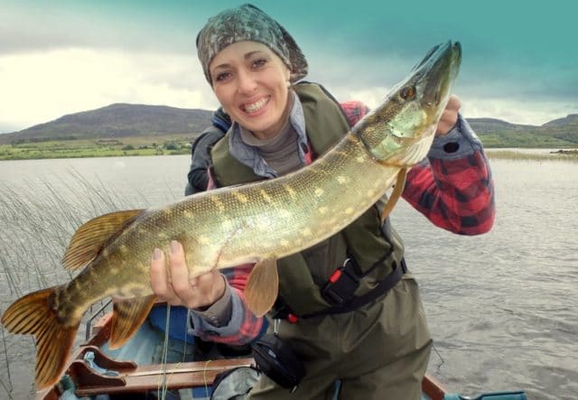 nice pike
