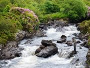 Rain should improve prospects at Kylemore