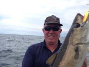 Specimen pollack for Charter skipper Mark Gannon is our Catch of the Week along with, conger to 30 lb. and blue shark to 2.20m for his anglers at Courtmacsherry Specimen pollack