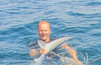 Blue shark