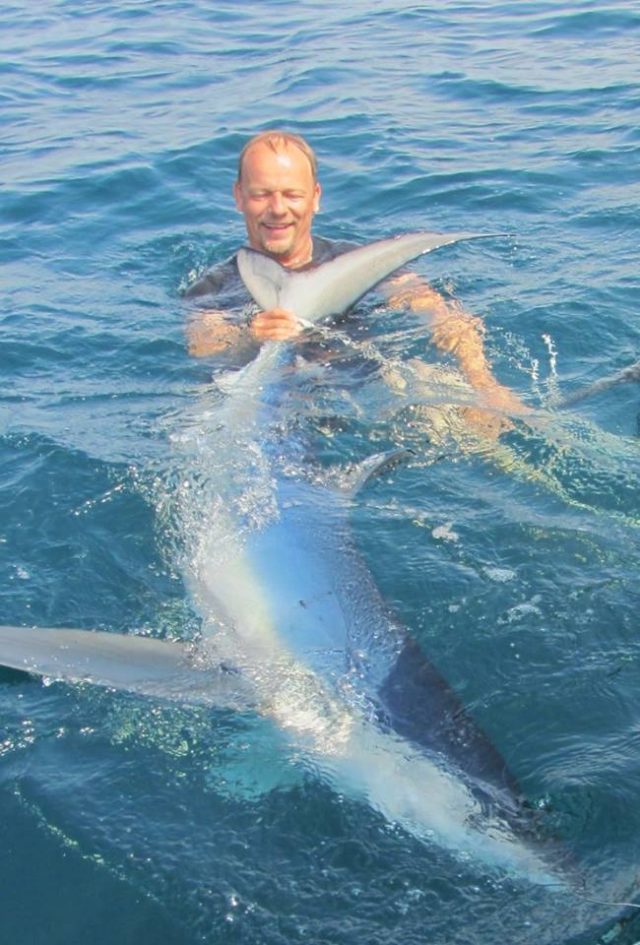 Hold on tight Blue shark
