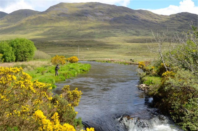 salmon fishing