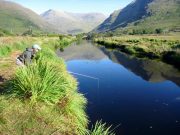 A month of mixed fortunes at Delphi