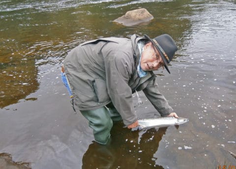 Regular French visitor Gerard Garnier releasing a nice grilse he caught on Beat 9 on the Erriff Fishery