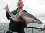 Mackeral back in abundance as Predator takes the specimens