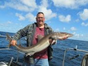 Dutch anglers enjoy great tope from northern coast tope
