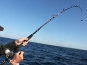 Irish Angling Update, 03/07/14 Shark fishing