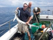 Four nice blues for the Galway Hussy