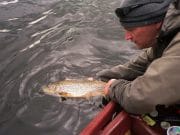 The mighty red sedges were literally crawling up angler’s necks and resting everywhere at Sheelin