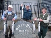 Low water on the Moy but anglers land 431 salmon salmon anglers