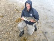 5 for Clive in Wexford