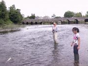 Maigue a good river for beginners even in low water and bright conditions