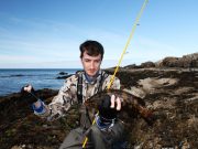 Some fine Donegal wrasse for Steven