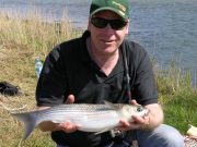 Mullet magic – a battle of the wits with Terry Jackson