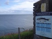 Irish Angling Update – 31/07/14