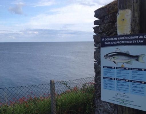 Irish Angling Update – 31/07/14