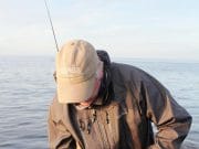 Quality Bass are Worth Waiting For