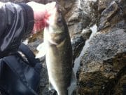 Sticking With the Spot Produces for John