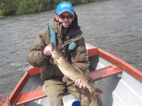 Lough Muckno Has Great Stocks of Quality Pike