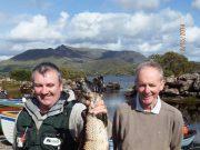 Some fine sea trout from Lough Currane