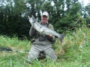 Some Fine Fish on the River Fane