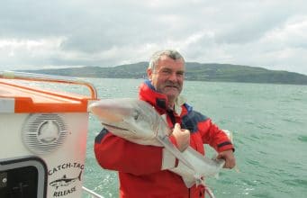 70 tope off the Antrim coast in 2 days for anglers on Predator