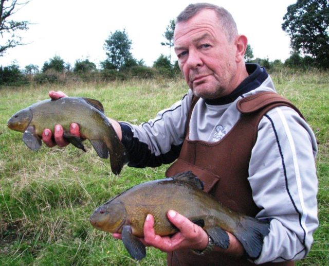 Nigel with some nice Tench from his catch Nigel with some nice Tench from his catch