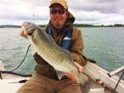 Absolute Corkers for Dungarvan guide