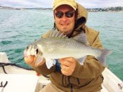 Irish Angling Update – 28 June 2018