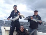 20 sharks on Thursday alone for the Kiwi Girl !