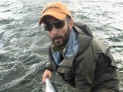 Fish in the Laune despite low levels