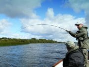 Irish Angling Update, 04/09/14 Excellent sport on the fly: hard fighting Mayo pike!