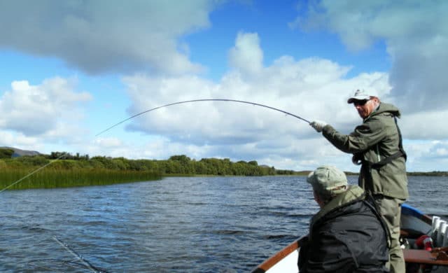 Excellent sport on the fly: hard fighting Mayo pike!