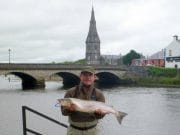 164 salmon from the Moy this week