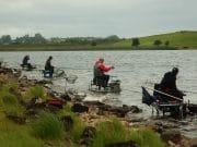Irish Angling Update – 21/08/14