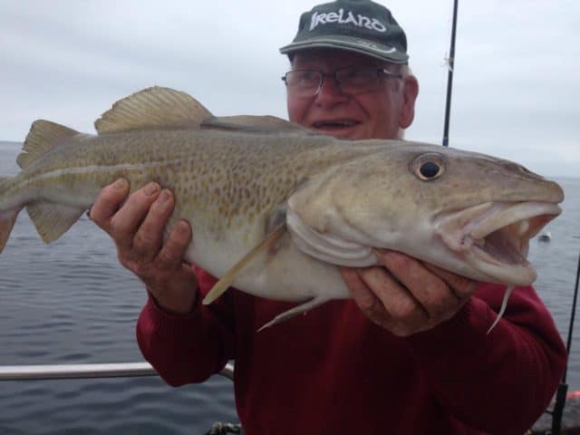 Max Couque - 10lb cod