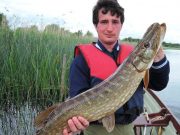 Double figured pike from the Upper Shannon