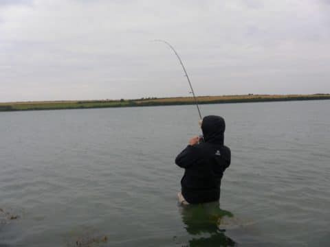 Playing the fish