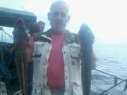 Ling in abundance for Sid as he visits the wrecks around Dungarvan