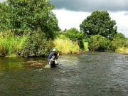 River Trout Fishing With Eamonn Conway