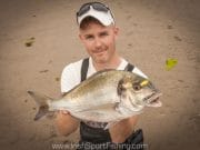 Gilthead record predicted to topple as catches increase on Irish beaches gilthead bream