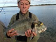 Gilthead bream for bass anglers at Wexford mark gilthead bream from Wexford