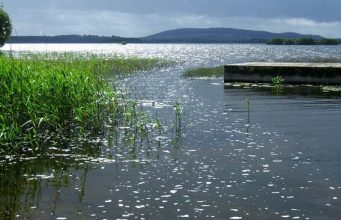 Irish Angling Update – 28/08/14 Kilnahard, Lough Sheelin