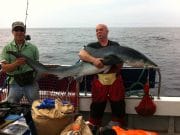 Blue shark to 2.4m from Clonakilty's Tigger shark