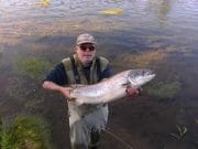 Mostly grilse coming through on Suir but some big salmon to be caught salmon