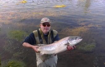 salmon
