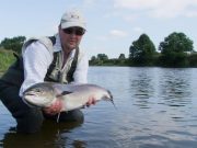 Still a few salmon taking despite low water on Munster Blackwater with one winning our 'Catch of the Week' A fine 10lb. fresh salmon released by Rob Green (UK) on the lower river. Our 'Catch of the Week' winner