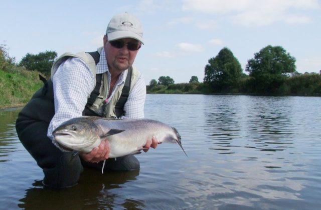 A fine 10lb. fresh salmon released by Rob Green (UK) on the lower river. Our 'Catch of the Week' winner
