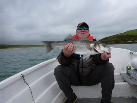 bass